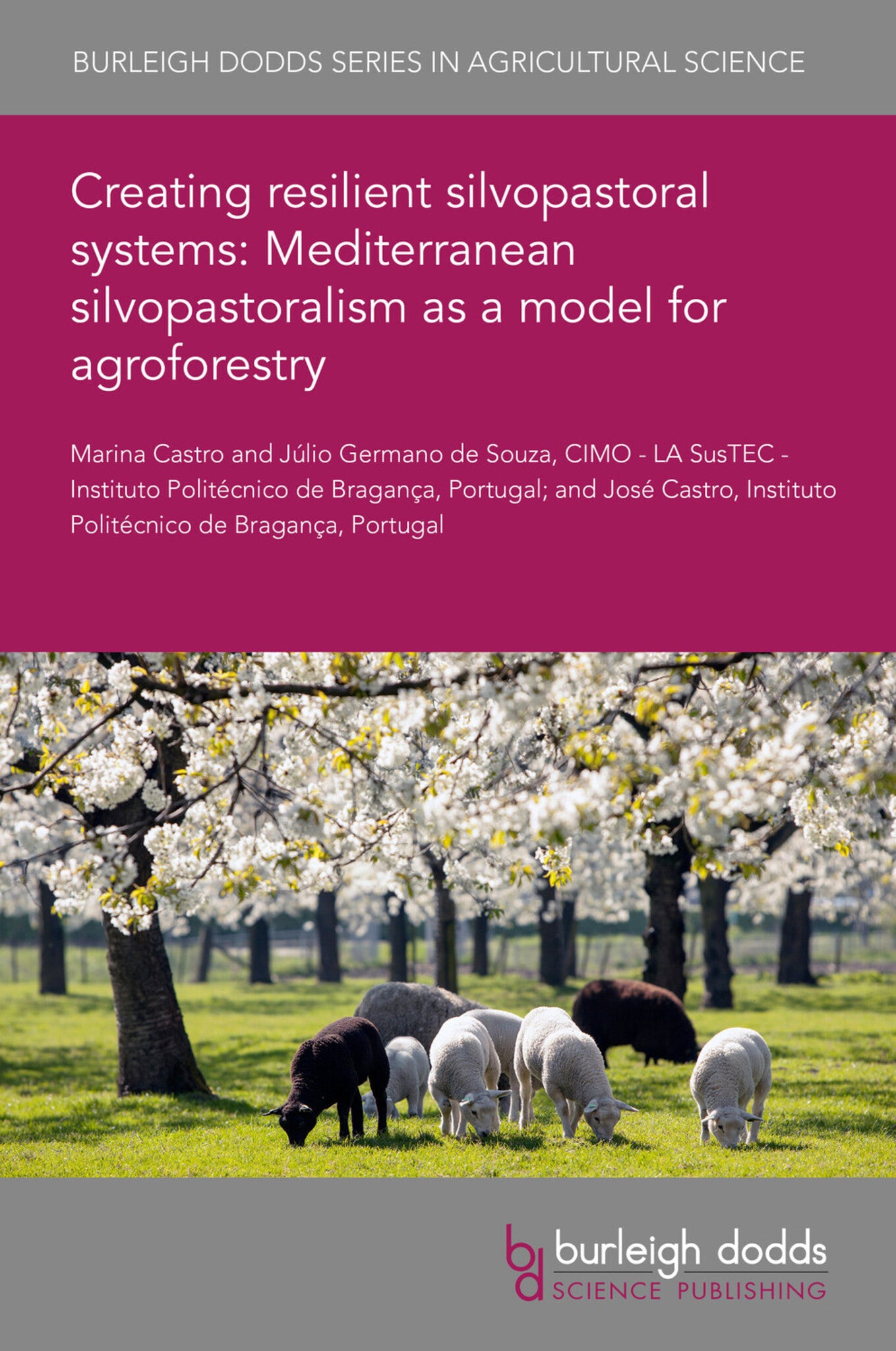 Creating resilient silvopastoral systems: Mediterranean silvopastoralism as a model for agroforestry